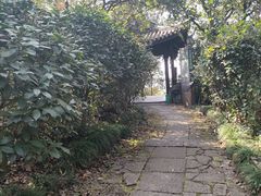 -杭州半山国家森林公园