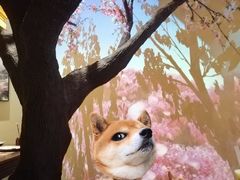 大堂-绿茶餐厅(昌平悦荟店)