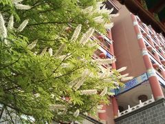 -大明幻境第一城