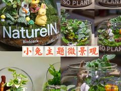 -体育场(地铁站)