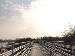 -春花秋色城市公园