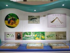 -上海昆虫博物馆