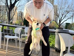 -小意思咖啡店(草桥店)