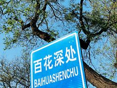 -汉唐宴长安食府