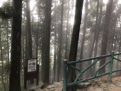 -井冈山风景名胜区-黄洋界