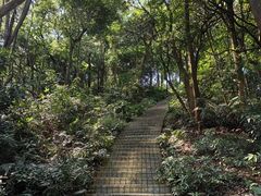-广州市帽峰山景区