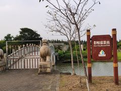 -上海海湾国家森林公园