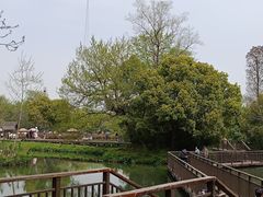 -西溪国家湿地公园