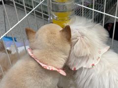 -汇德隆银隆