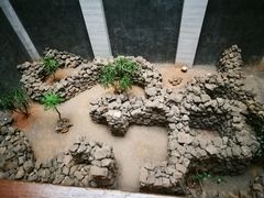 -观澜湖酒店·邀月庭中餐厅
