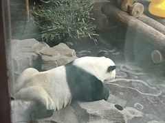 -济南野生动物世界