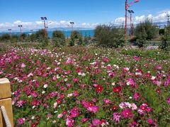 -青海湖国家重点风景名胜区
