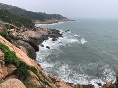 -广东惠东海龟国家级自然保护区