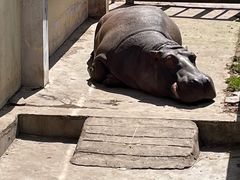 -青藏高原野生动物园