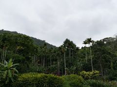 -呀诺达热带雨林