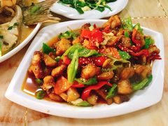 -煲来饱去冷水鱼