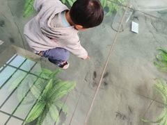 -延庆地质公园博物馆