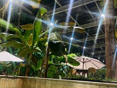 -观唐（国际）度假村温泉