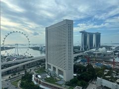 -新加坡泛太平洋酒店
