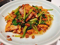 荆芥烧地锅豆腐-阿五黄河大鲤鱼(纬三路店)