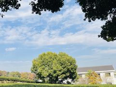 -中国茶叶博物馆(双峰馆区)