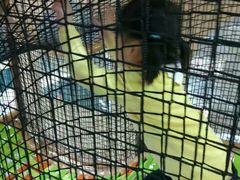 -蒙特利亲子乐园