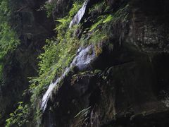 -碧峰峡风景区
