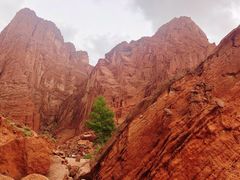 -天山神秘大峡谷