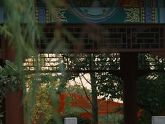 -永安水煮活鱼·仪征土菜院子