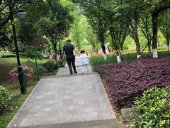 -沐仙湖湿地公园
