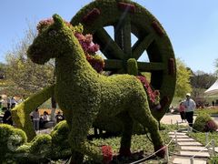 -沈阳植物园