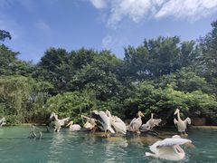 -珠海长隆海洋王国