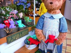 -济州岛泰迪熊博物馆