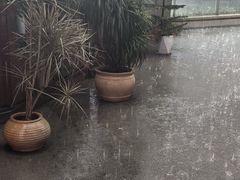 -山之屋炭火烧肉·生啤畅饮(大朗万科中央公园店)