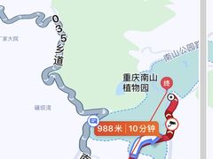 -南山植物园