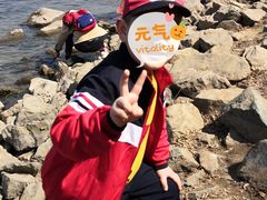 -丁香湖公园
