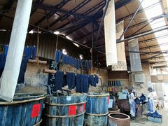 -璞真扎染博物馆