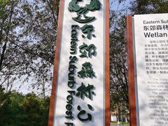-东郊湿地公园
