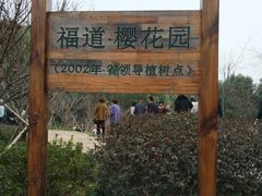 -福道