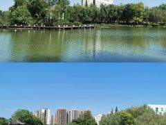 -成都中医药大学(温江校区)