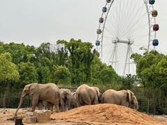 -上海野生动物园