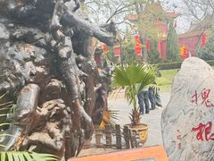 -大槐树寻根祭祖园