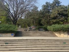 -玲珑塔公园