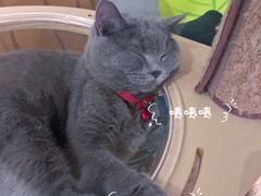 -么么咖啡(燕郊店)