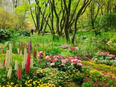 -上海共青森林公园