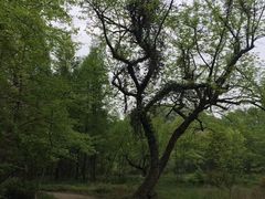-小格里自然风景区