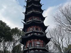 -上海佘山国家森林公园西佘山园