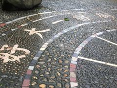 -瑞丽独树成林风景区