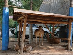 -大鹅岛绿色生态美食园