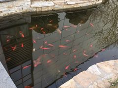 -北京国家会计学院